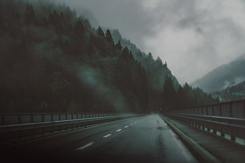 Road Forest Fog Dark Hd Wallpaper Peakpx