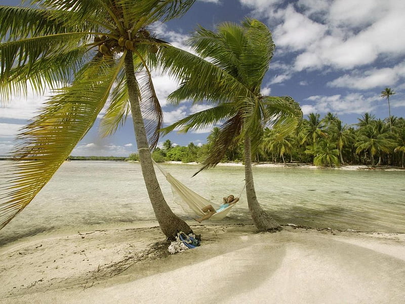 Hammoch Beach Girl Summer Palm Hammock Hd Wallpaper Peakpx