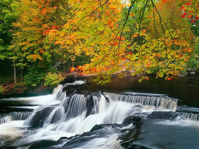 Forest Stream In Autumn Stream Fall Autumn Riverbank Shore Flow