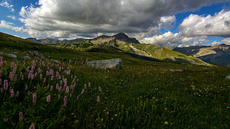 Beautiful Greenery Mountains Purple Lupine Flowers Field Slope Under