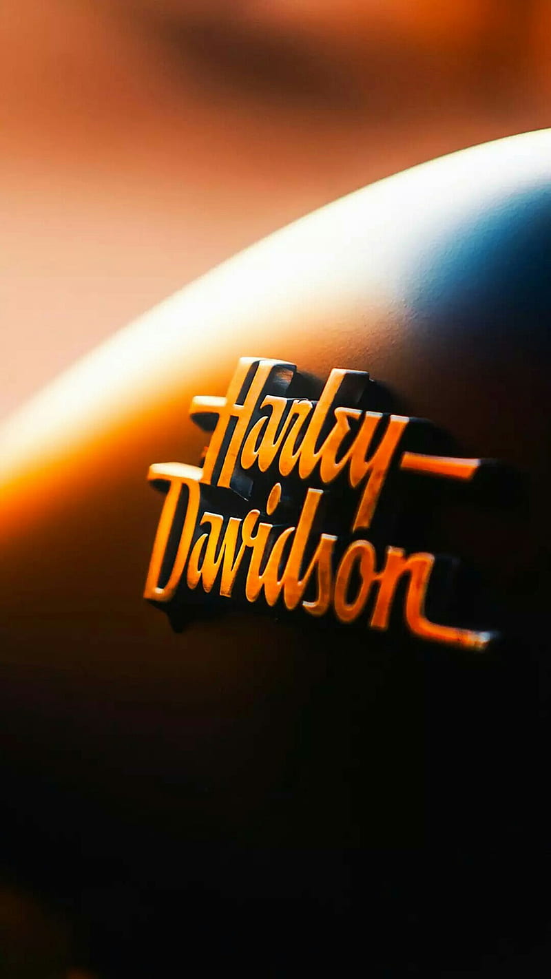 Davidson Harley HD Phone Wallpaper Peakpx