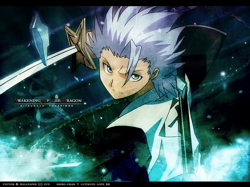 Anime Bleach T Shir Hitsugaya Hd Wallpaper Peakpx