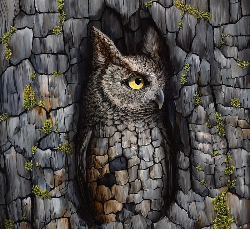 Owl Art Bird Fantasy Jon Ching Bufnita Pasari Tree HD Wallpaper