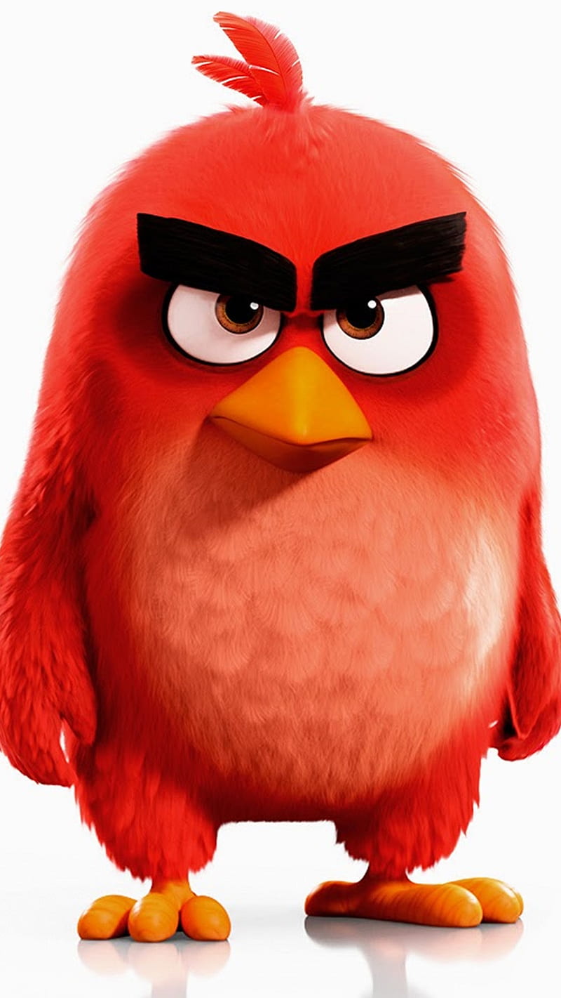 Angry Birds Cartoons Hd Phone Wallpaper Peakpx
