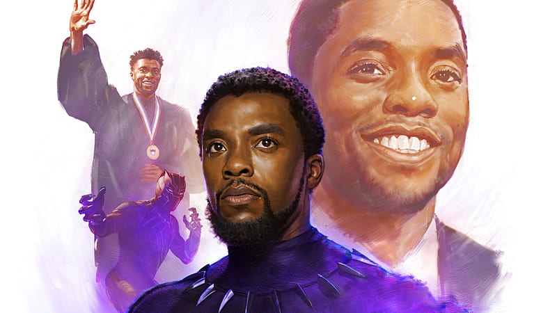 Actors Chadwick Boseman Black Panther Marvel Comics Black Panther