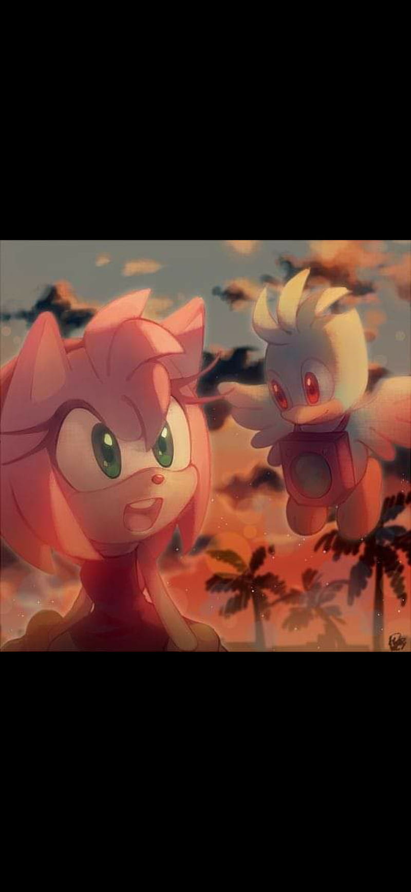 Amy Rose Erizo Rosa Fondo De Pantalla De Tel Fono Hd Peakpx