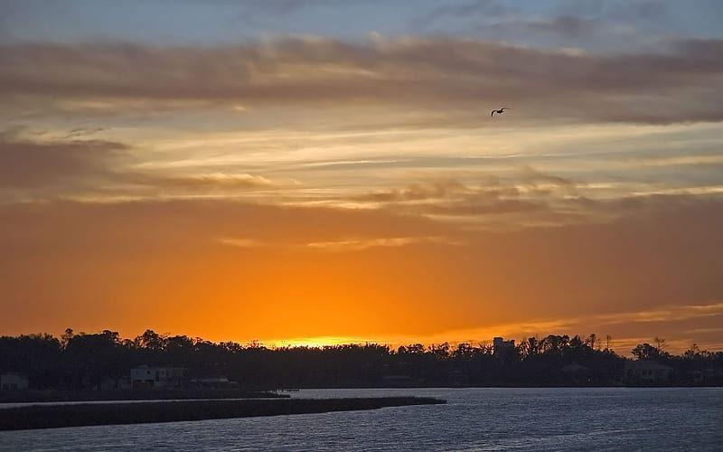 Pleasnat Sunset Stunning Ocean Bonito Sunset Beach Skies