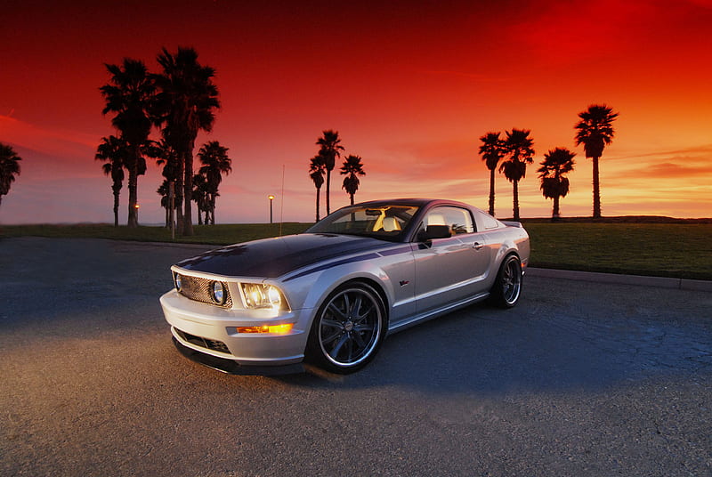 Mustang Sunset Mustang Silver Ford Car HD Wallpaper Peakpx