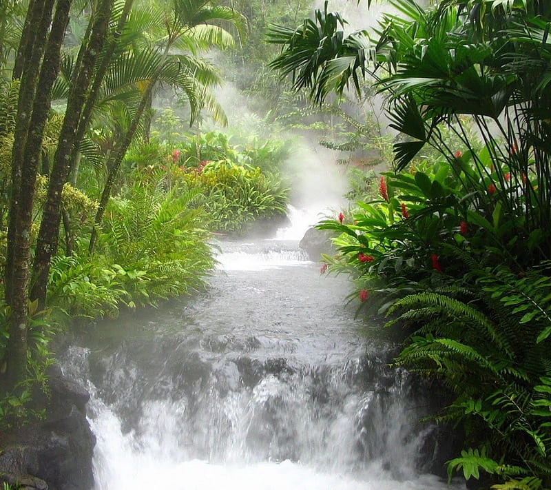 Cascadas ríos paisajes naturaleza Fondo de pantalla HD Peakpx