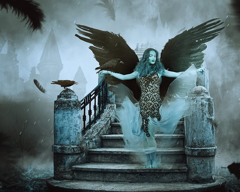 Angel Fantasy Wings Woman Hd Wallpaper Peakpx