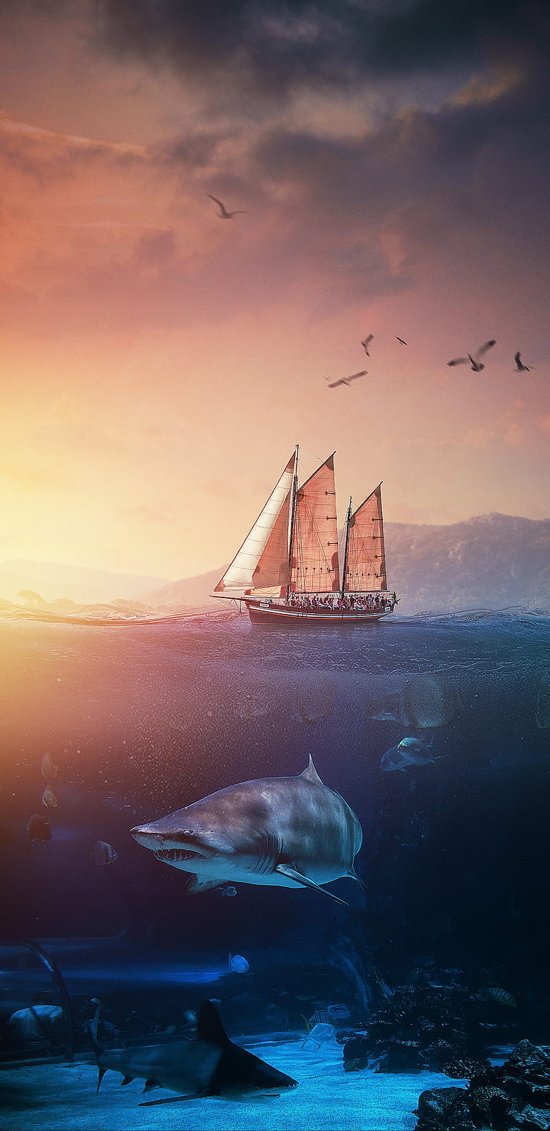 Okyanus Sailing Sea Ships Hd Phone Wallpaper Peakpx