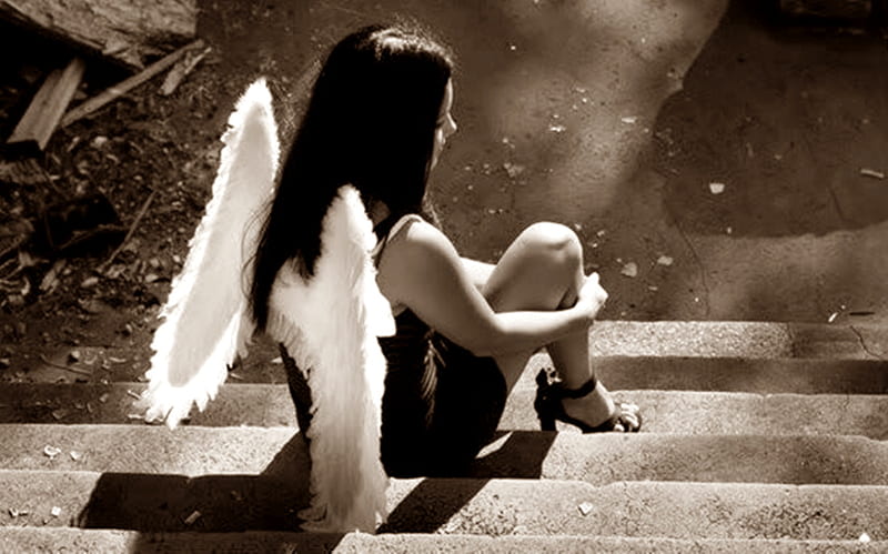 Angel Brunette Model Woman Sexy HD Wallpaper Peakpx