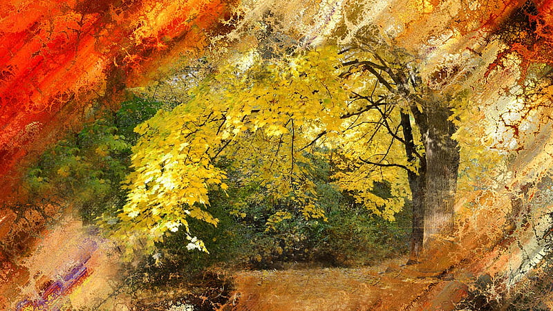 Fall Collage Fall Autumn Leaves Woods Path Bright Collage Trees