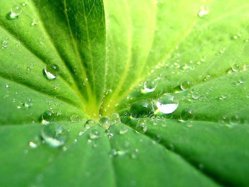 Earth Water Drop HD Wallpaper Peakpx