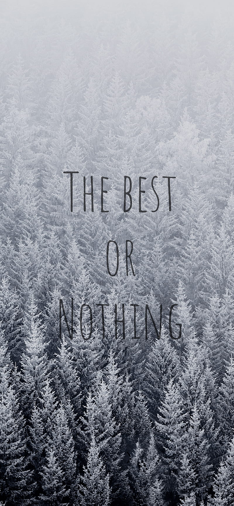 The Best Or Nothing Nature White Hd Phone Wallpaper Peakpx