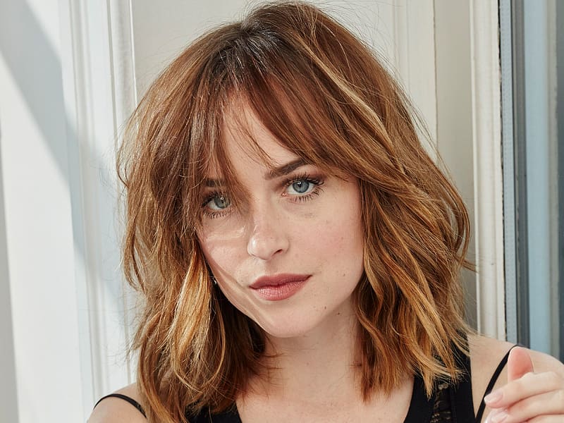 Face Brunette Blue Eyes American Celebrity Actress Dakota Johnson