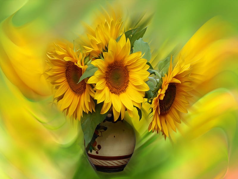 Sunflowers In A Vase Graphic Flowers Vase Bouquet Hd Wallpaper