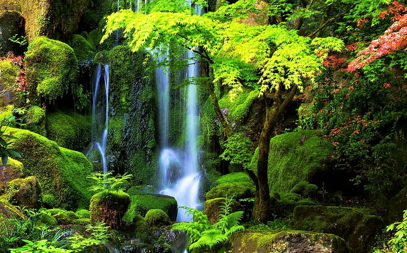 Waterfall Mountain Forest Leaves Splendor Nature Trees Landscape