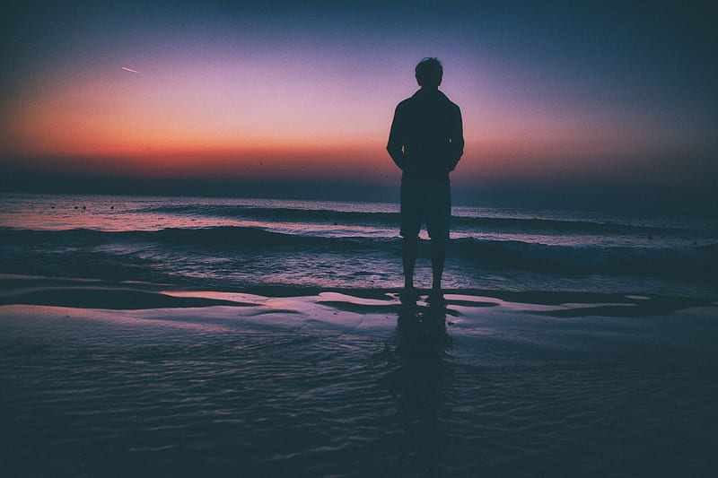 Man Standing On Seashore During Sunset Hd Wallpaper Peakpx