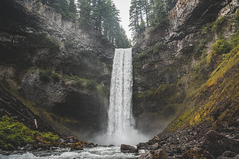 Waterfalls In The Middle Of The Forest Hd Wallpaper Peakpx