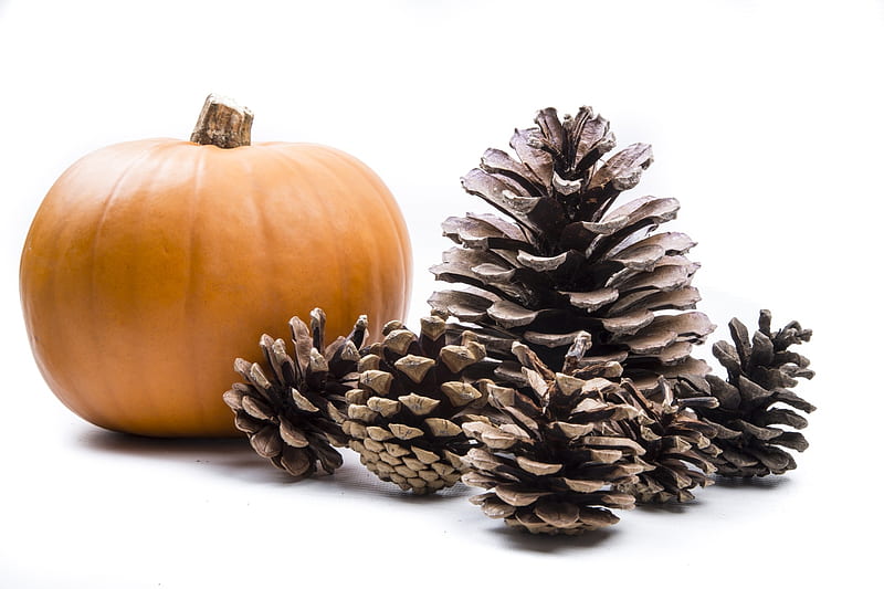 Pumpkin And Pine Cones Pine Cones Pumpkins Graphy Autumn Nature