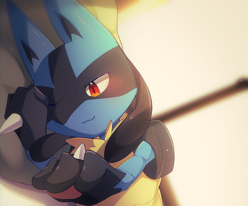 Pok Mon Lucario Pok Mon Hd Wallpaper Peakpx