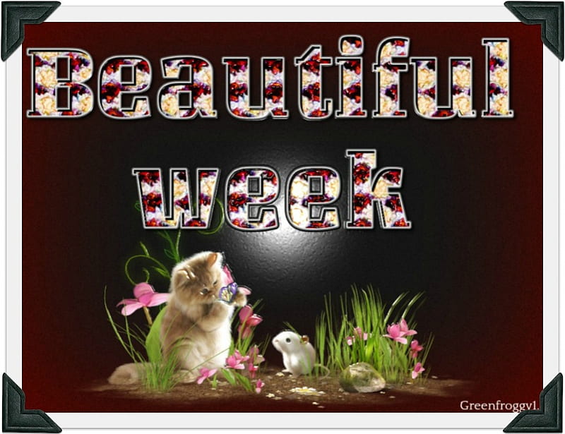 Beautiful Week Comment Wee Card Beautiful Hd Wallpaper Peakpx