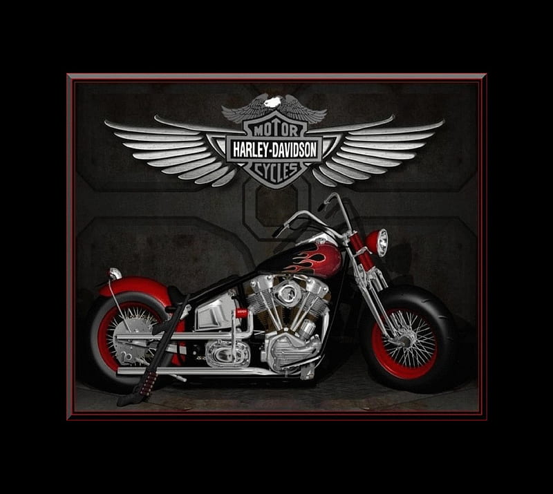 Top Imagen Fondos De Pantalla Harley Davidson Thptnganamst Edu Vn