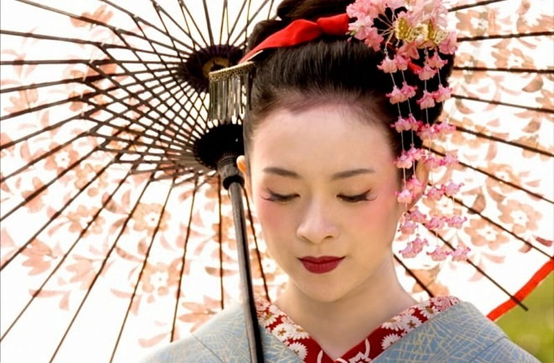 Sayuri Japan Zhang Ziyi Memoirs Of A Geisha Kimono Geisha