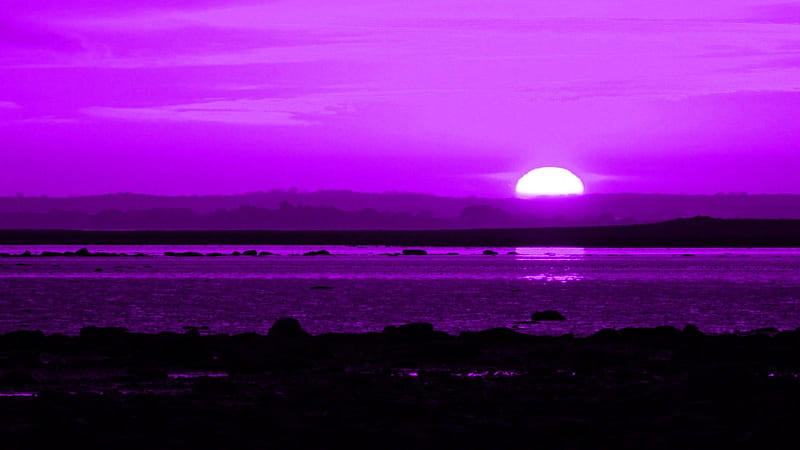 Purple Sunset Over Beach Beach Purple Nature Sunset Clouds Sea