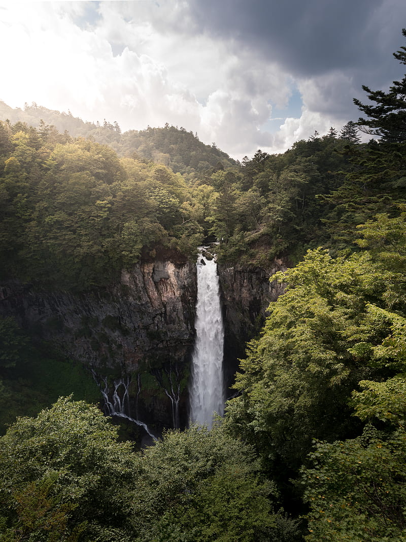 Rocky Mountain Waterfalls Near Trees During Day HD Phone Wallpaper