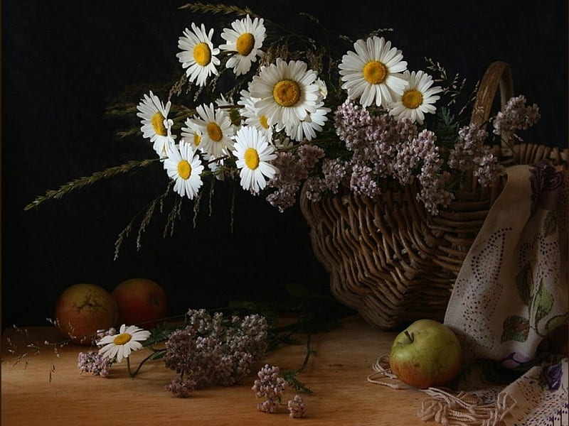 Still Life Kompozycja Martwa Kwiaty Nature HD Wallpaper Peakpx