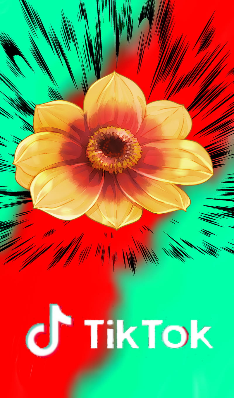 Tiktok Flower Burst Exploding Hd Phone Wallpaper Peakpx