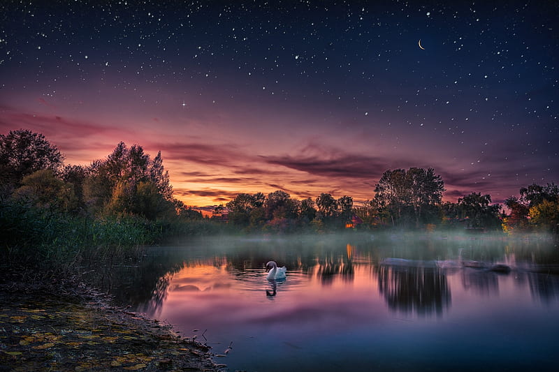 Sunset Lake Stars Lake Birds Sunset Sky Hd Wallpaper Peakpx