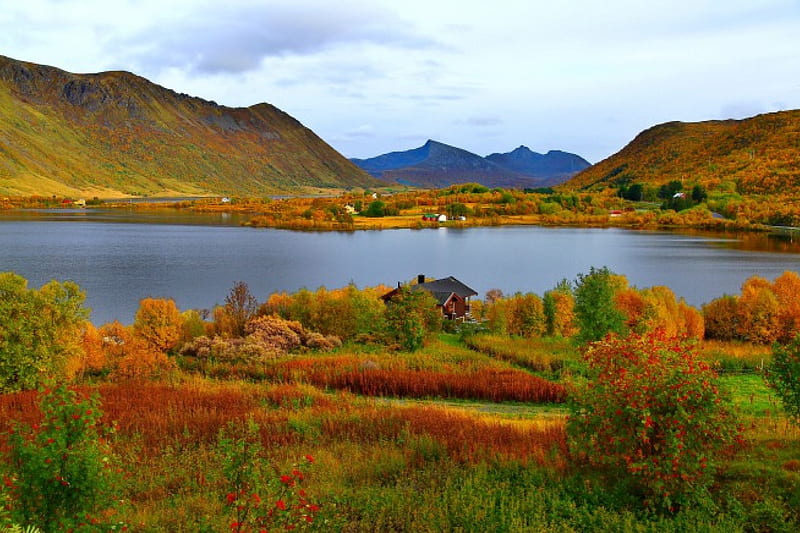 Lakeshore Cabins Colroful Fall Pretty Autumn House Riverbank