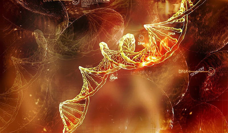 DNA Genetics Fire Bonito Abstract HD Wallpaper Peakpx