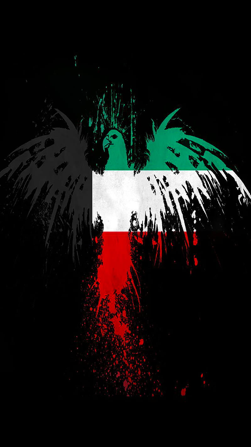 Kuwait Flag Hd Phone Wallpaper Peakpx