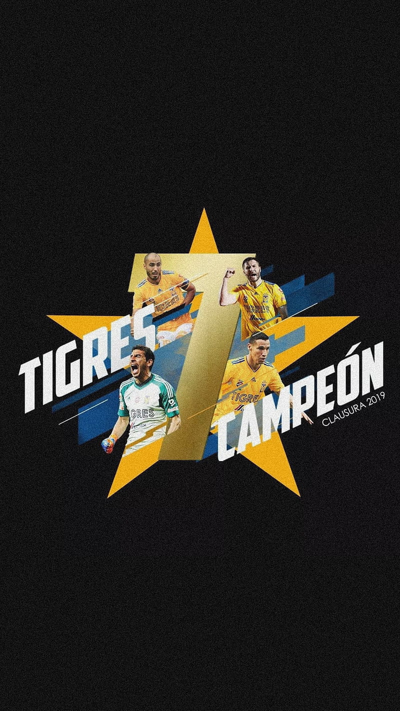 Tigres Uanl Tigres Campeon Hd Phone Wallpaper Peakpx