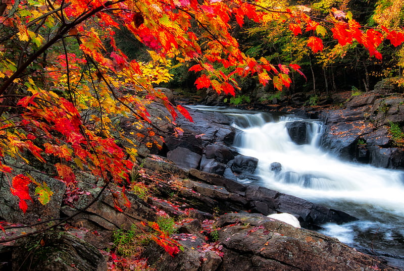 River Waterfalls Near Trees Hd Wallpaper Peakpx