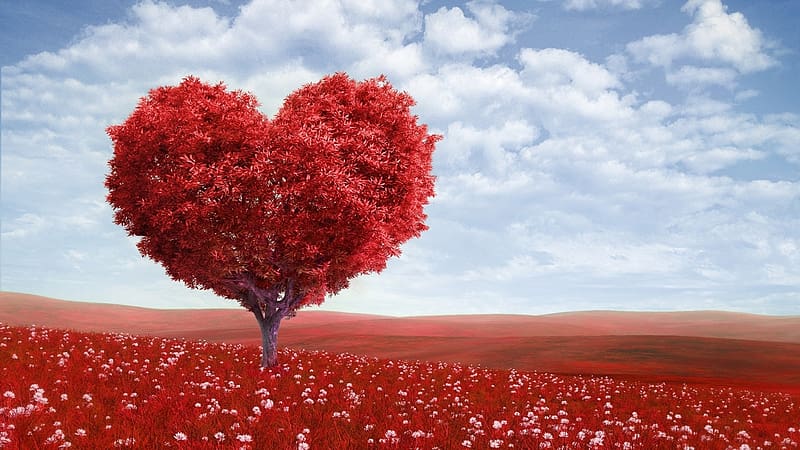 Valentine Day Red Love Autumn Card Heart Tree Hd Wallpaper Peakpx