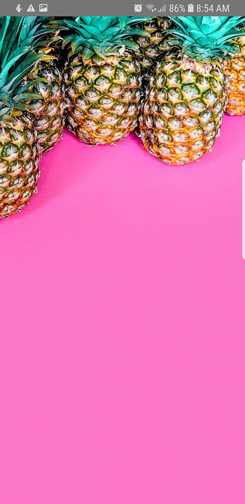 Phone Only Fruit Marine Pineapple HD Phone Wallpaper Peakpx