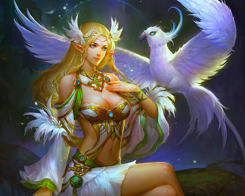 Elf Bird Magical Fantasy Bird Woman Hd Wallpaper Peakpx