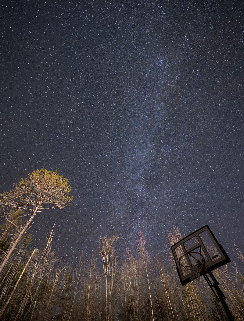 Basketball Stand Basketball Trees Milky Way Hd Phone Wallpaper Peakpx