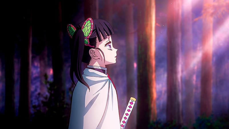 Anime Demon Slayer Kimetsu No Yaiba Kanao Tsuyuri Kimetsu No Yaiba