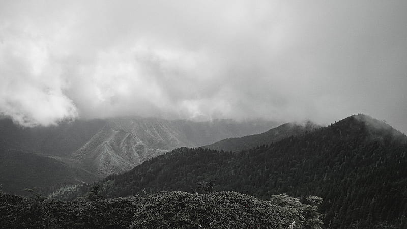 Black and White of Mountain with Fog, HD wallpaper