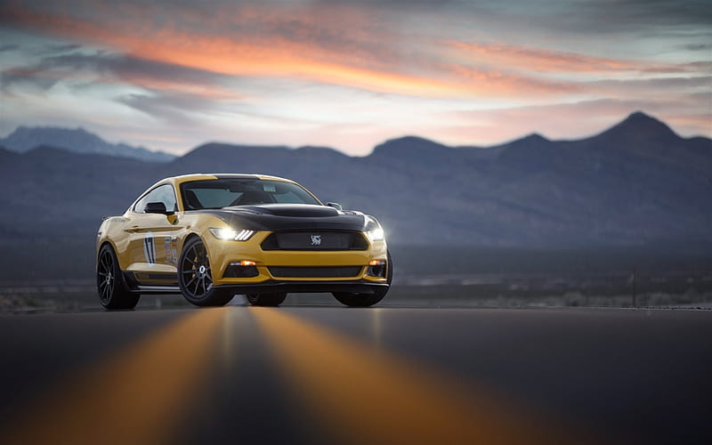 Ford Mustang, Shelby, Terlingua, tuning, red Mustang, sports cars, HD wallpaper
