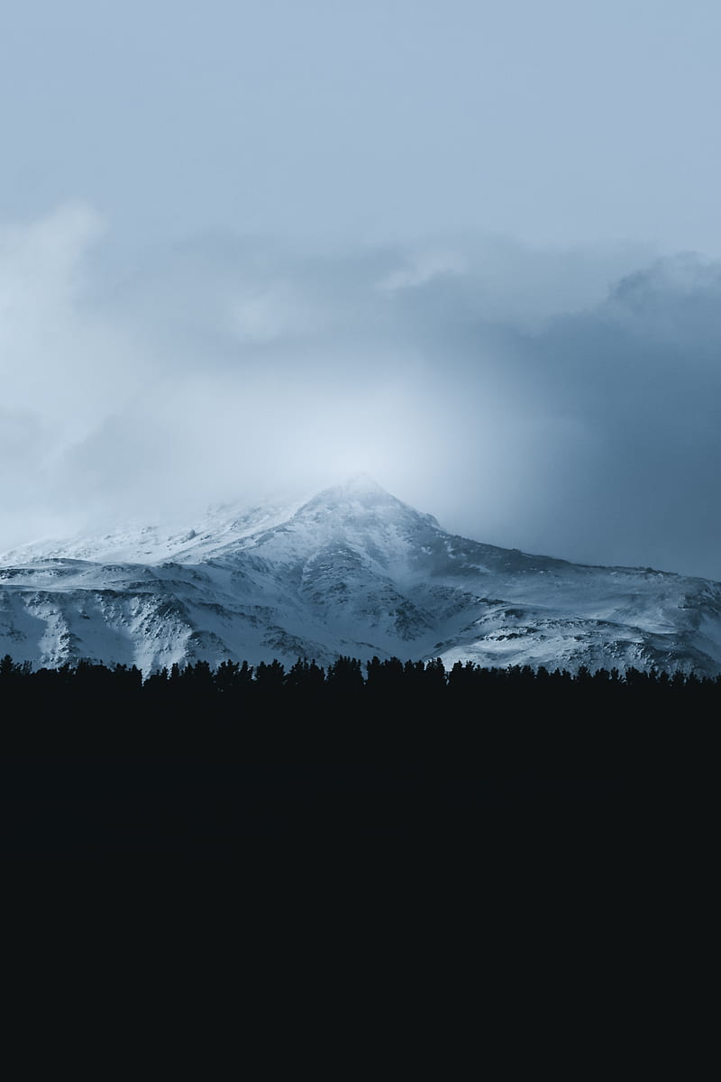 mountain, forest, fog, peak, clouds, landscape, HD phone wallpaper