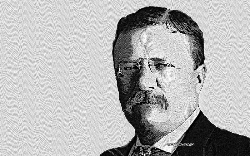 Theodore Roosevelt, 26th US President, portrait, art, American president, USA, HD wallpaper