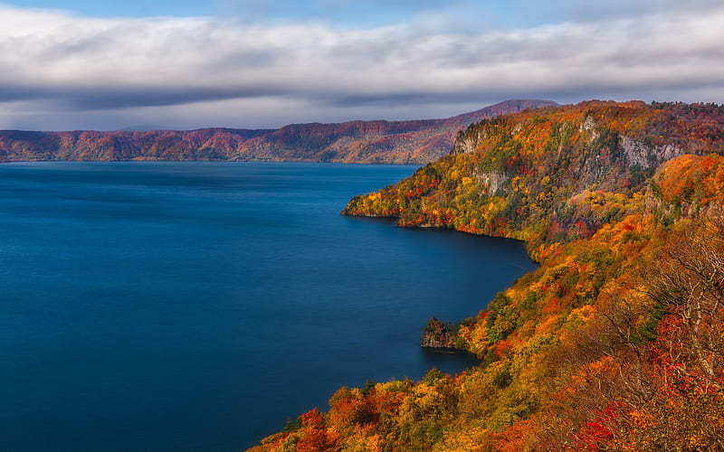 autumn landscape, lake, coast, yellow trees, autumn, japan, HD wallpaper
