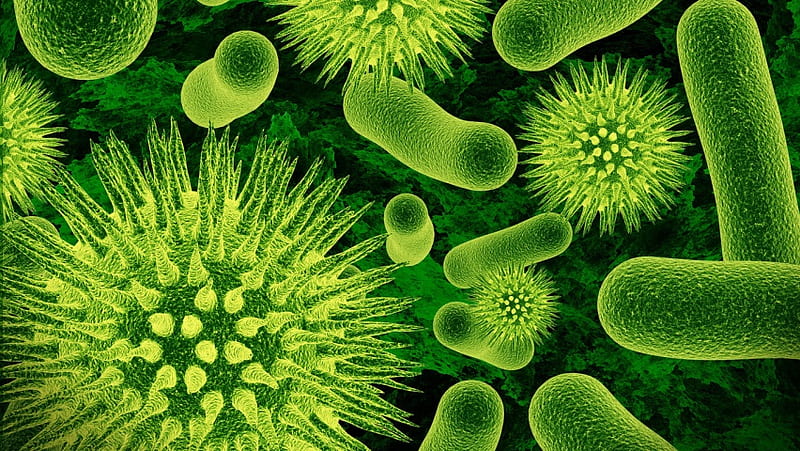 Germs Or Bacteria, HD wallpaper